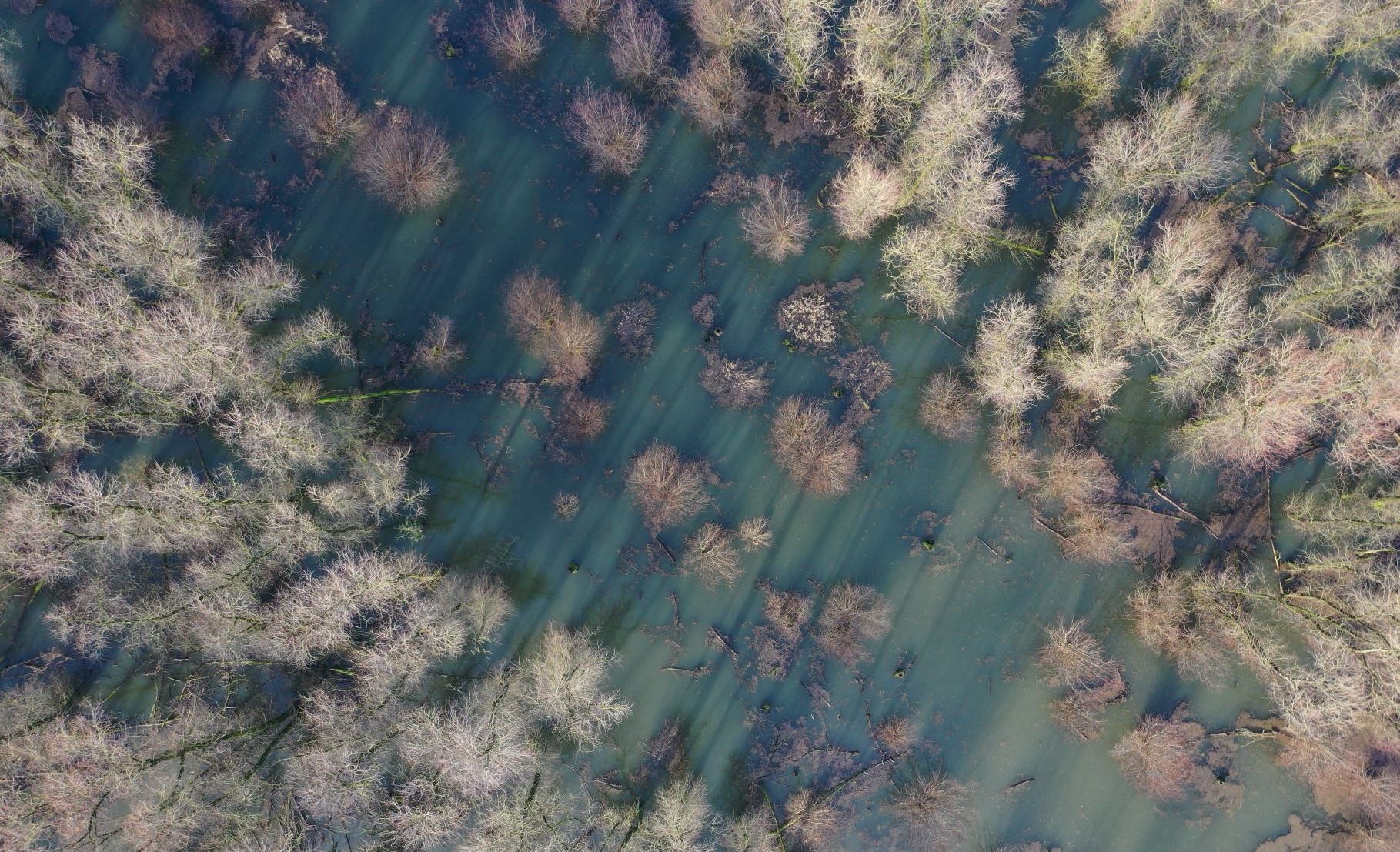 DJI_0543asd