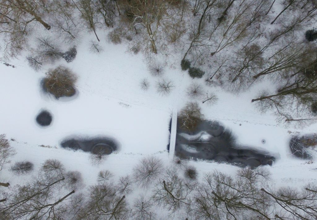 DJI_0080