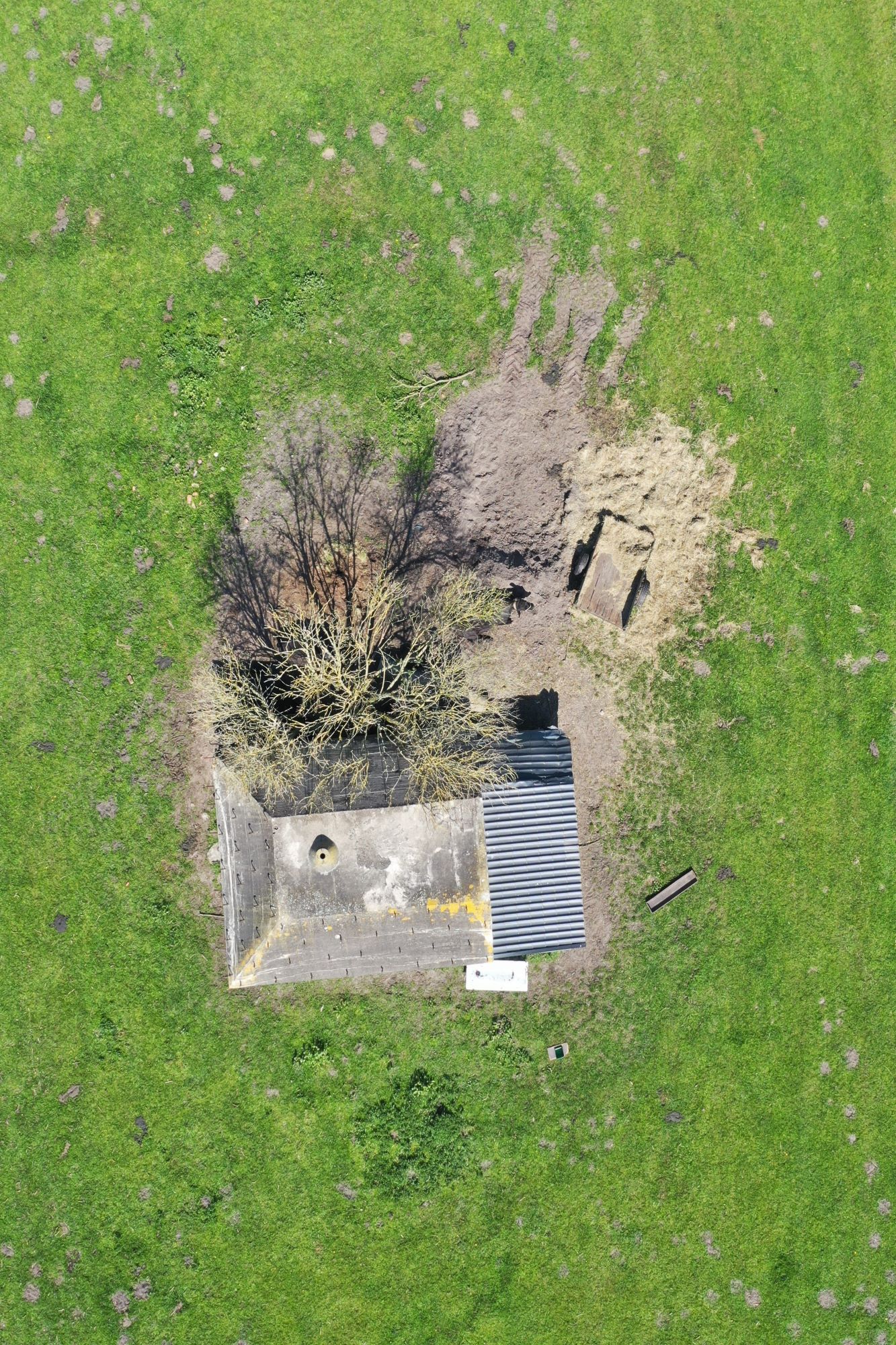 DJI_0265